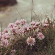 ヒメ日記 2025/05/23 11:36 投稿 新人・若菜(わかな) グランドオペラ福岡