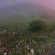 ヒメ日記 2025/05/23 11:40 投稿 新人・若菜(わかな) グランドオペラ福岡