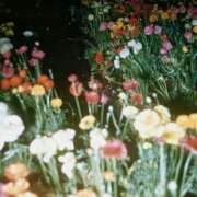 ヒメ日記 2025/05/23 11:51 投稿 新人・若菜(わかな) グランドオペラ福岡