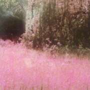 ヒメ日記 2025/05/23 17:02 投稿 新人・若菜(わかな) グランドオペラ福岡