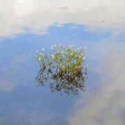 ヒメ日記 2025/05/25 16:21 投稿 新人・若菜(わかな) グランドオペラ福岡