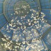 ヒメ日記 2025/05/25 20:40 投稿 新人・若菜(わかな) グランドオペラ福岡