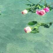 ヒメ日記 2025/05/25 22:11 投稿 新人・若菜(わかな) グランドオペラ福岡