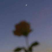 ヒメ日記 2025/06/01 12:46 投稿 新人・若菜(わかな) グランドオペラ福岡