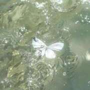 ヒメ日記 2025/06/01 19:31 投稿 新人・若菜(わかな) グランドオペラ福岡