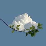 ヒメ日記 2025/06/01 23:33 投稿 新人・若菜(わかな) グランドオペラ福岡