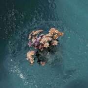 ヒメ日記 2025/06/03 08:01 投稿 新人・若菜(わかな) グランドオペラ福岡