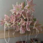 ヒメ日記 2025/06/03 11:02 投稿 新人・若菜(わかな) グランドオペラ福岡