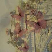 ヒメ日記 2025/06/03 15:02 投稿 新人・若菜(わかな) グランドオペラ福岡