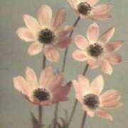 ヒメ日記 2025/06/03 18:29 投稿 新人・若菜(わかな) グランドオペラ福岡