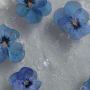 ヒメ日記 2025/06/03 18:51 投稿 新人・若菜(わかな) グランドオペラ福岡