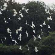 ヒメ日記 2025/06/03 22:21 投稿 新人・若菜(わかな) グランドオペラ福岡