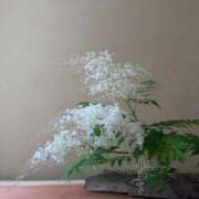 ヒメ日記 2025/06/04 09:51 投稿 新人・若菜(わかな) グランドオペラ福岡