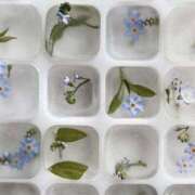 ヒメ日記 2025/06/04 13:02 投稿 新人・若菜(わかな) グランドオペラ福岡