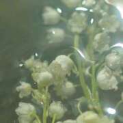 ヒメ日記 2025/06/05 12:51 投稿 新人・若菜(わかな) グランドオペラ福岡