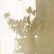 ヒメ日記 2025/06/06 06:21 投稿 新人・若菜(わかな) グランドオペラ福岡