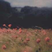 ヒメ日記 2025/06/07 00:41 投稿 新人・若菜(わかな) グランドオペラ福岡