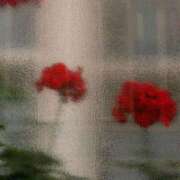 ヒメ日記 2025/06/08 07:41 投稿 新人・若菜(わかな) グランドオペラ福岡