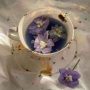 ヒメ日記 2025/06/09 12:21 投稿 新人・若菜(わかな) グランドオペラ福岡