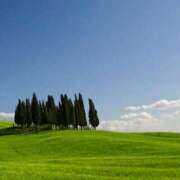 ヒメ日記 2025/06/11 11:02 投稿 新人・若菜(わかな) グランドオペラ福岡