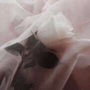 ヒメ日記 2025/06/11 23:37 投稿 新人・若菜(わかな) グランドオペラ福岡