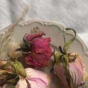 ヒメ日記 2025/06/12 08:30 投稿 新人・若菜(わかな) グランドオペラ福岡