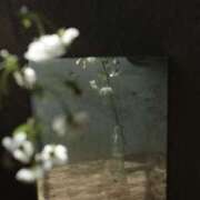 ヒメ日記 2025/06/12 13:02 投稿 新人・若菜(わかな) グランドオペラ福岡