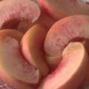 ヒメ日記 2025/06/12 20:55 投稿 新人・若菜(わかな) グランドオペラ福岡