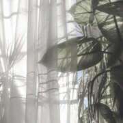 ヒメ日記 2025/06/13 10:53 投稿 新人・若菜(わかな) グランドオペラ福岡