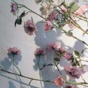 ヒメ日記 2025/06/13 21:28 投稿 新人・若菜(わかな) グランドオペラ福岡