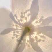 ヒメ日記 2025/06/14 06:01 投稿 新人・若菜(わかな) グランドオペラ福岡