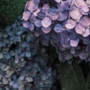 ヒメ日記 2025/06/15 17:21 投稿 新人・若菜(わかな) グランドオペラ福岡