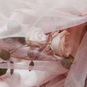 ヒメ日記 2025/06/17 15:25 投稿 新人・若菜(わかな) グランドオペラ福岡