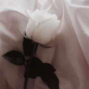 ヒメ日記 2025/06/17 23:01 投稿 新人・若菜(わかな) グランドオペラ福岡