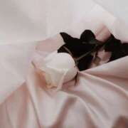 ヒメ日記 2025/06/18 21:51 投稿 新人・若菜(わかな) グランドオペラ福岡