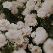 ヒメ日記 2025/06/19 23:59 投稿 新人・若菜(わかな) グランドオペラ福岡