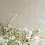 ヒメ日記 2025/06/20 19:02 投稿 新人・若菜(わかな) グランドオペラ福岡