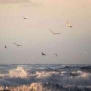 ヒメ日記 2025/06/21 17:31 投稿 新人・若菜(わかな) グランドオペラ福岡