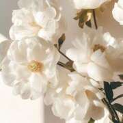 ヒメ日記 2025/06/24 06:15 投稿 新人・若菜(わかな) グランドオペラ福岡