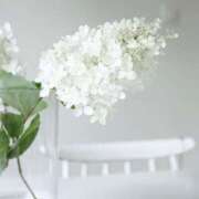 ヒメ日記 2025/06/24 13:29 投稿 新人・若菜(わかな) グランドオペラ福岡