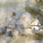 ヒメ日記 2025/07/01 09:55 投稿 新人・若菜(わかな) グランドオペラ福岡