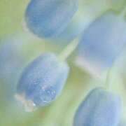 ヒメ日記 2025/07/02 11:02 投稿 新人・若菜(わかな) グランドオペラ福岡