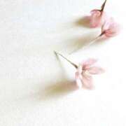 ヒメ日記 2025/07/03 19:51 投稿 新人・若菜(わかな) グランドオペラ福岡