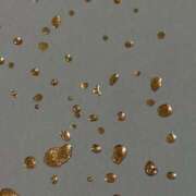 ヒメ日記 2025/07/07 21:41 投稿 新人・若菜(わかな) グランドオペラ福岡