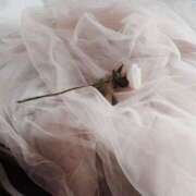 ヒメ日記 2025/07/17 12:00 投稿 新人・若菜(わかな) グランドオペラ福岡