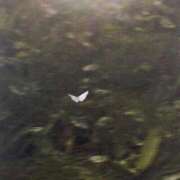 ヒメ日記 2025/07/29 20:31 投稿 新人・若菜(わかな) グランドオペラ福岡