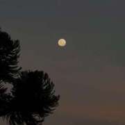 ヒメ日記 2025/09/08 01:26 投稿 新人・若菜(わかな) グランドオペラ福岡