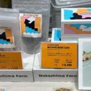 ヒメ日記 2025/09/16 15:38 投稿 新人・若菜(わかな) グランドオペラ福岡