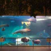 ヒメ日記 2025/09/20 10:42 投稿 新人・若菜(わかな) グランドオペラ福岡