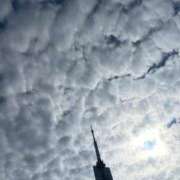 ヒメ日記 2025/10/17 00:53 投稿 新人・若菜(わかな) グランドオペラ福岡